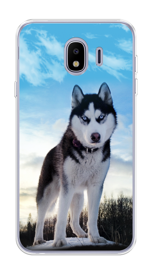 

Чехол Awog на Samsung Galaxy J4 "Хаски 3", Белый;черный;голубой, 26450-2