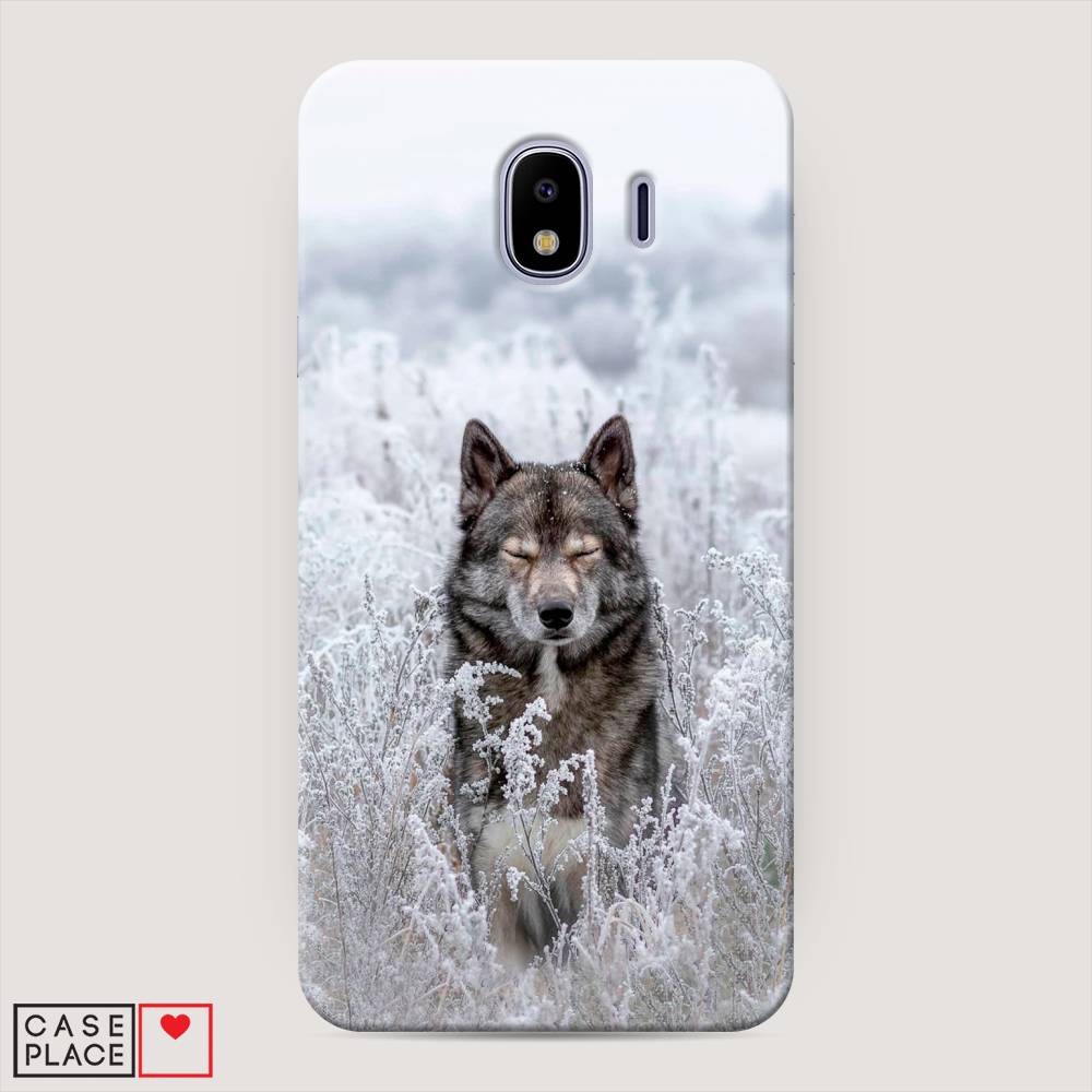

Чехол Awog "Волк в поле" для Samsung Galaxy J4, 26420-1