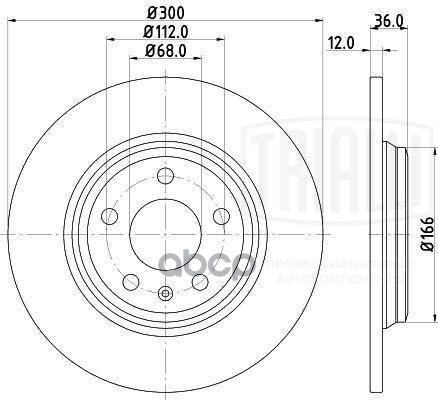 

Диск торм. для а/м Audi A4 (16-)/A5 (16-) зад. d=300 (окраш.) (DF 1901