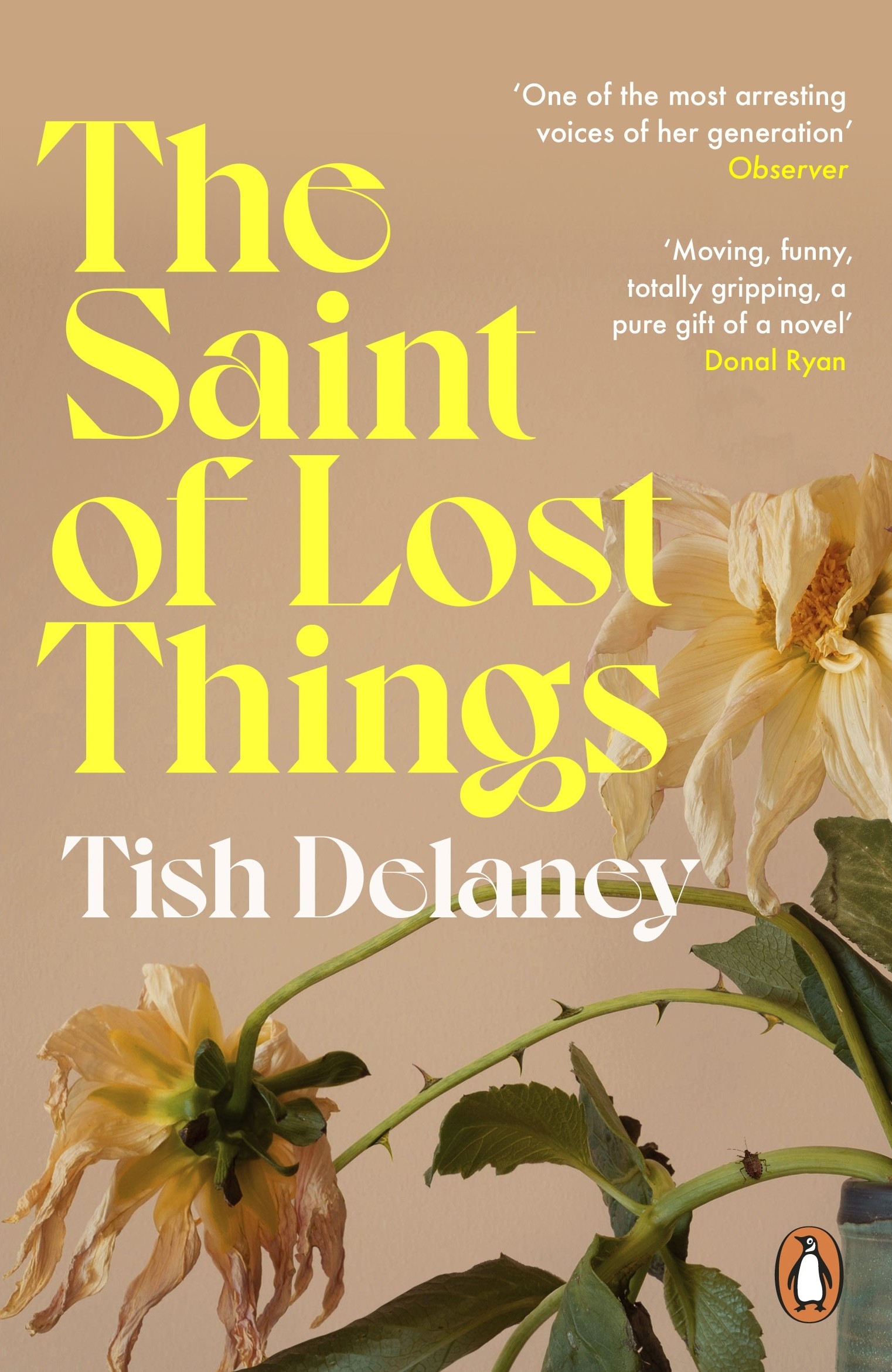 

The Saint of Lost Things