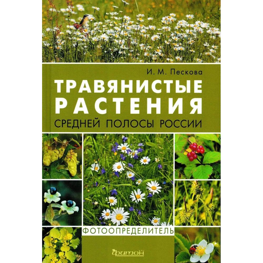 

Травянистые растения средней полосы России.Фотоопределитель