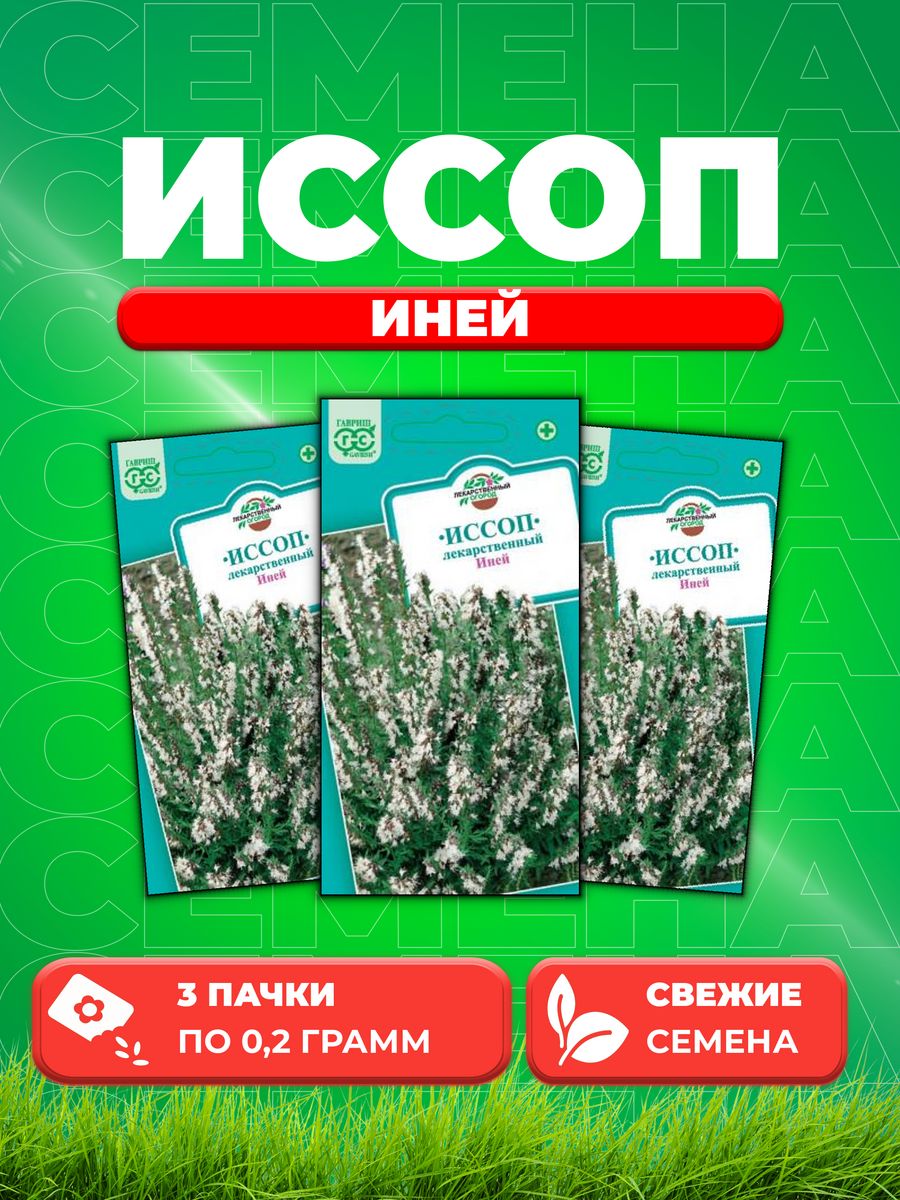 

Семена Иссоп Иней 0,2 г.3уп,Гавриш