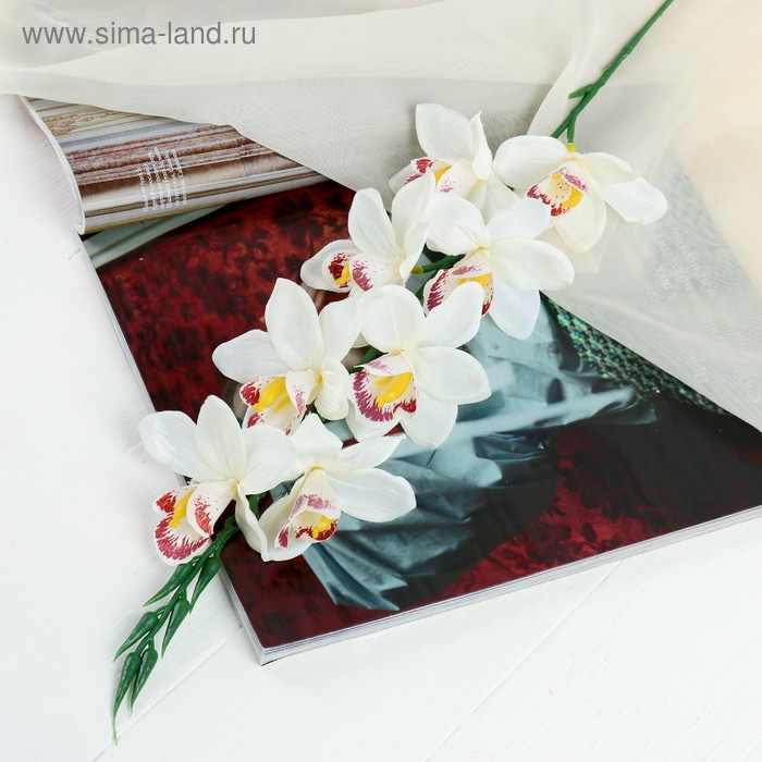 

Цветы искусственные Камбрия 9*71 см, белый