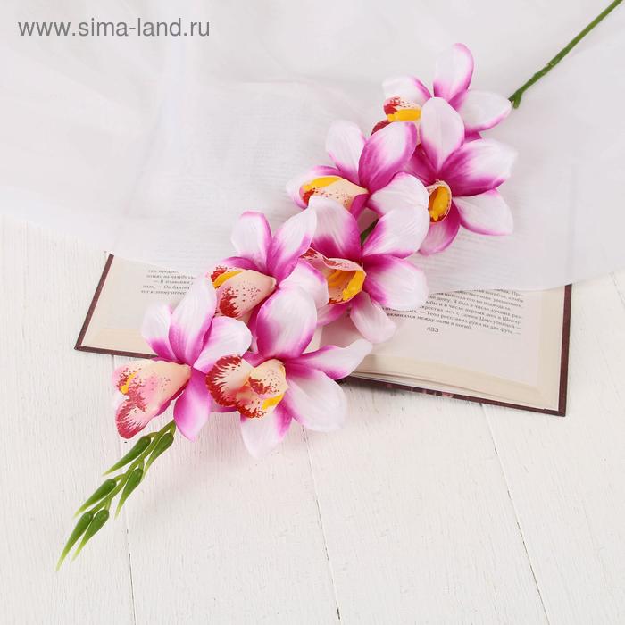 

Цветы искусственные Камбрия 9*71 см, бело-сиреневый, Белый;розовый