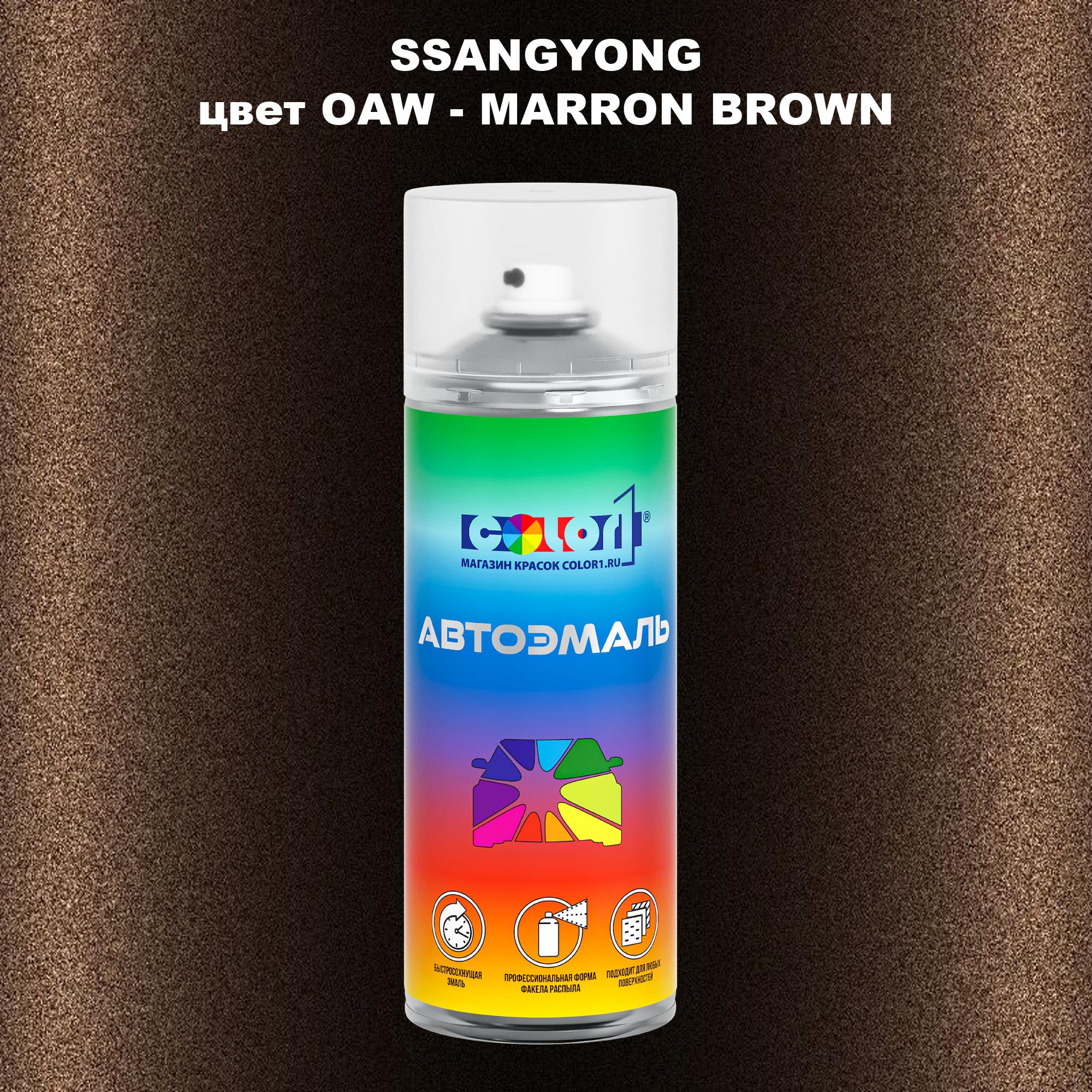 

Аэрозольная краска COLOR1 для SSANGYONG, цвет OAW - MARRON BROWN, Прозрачный