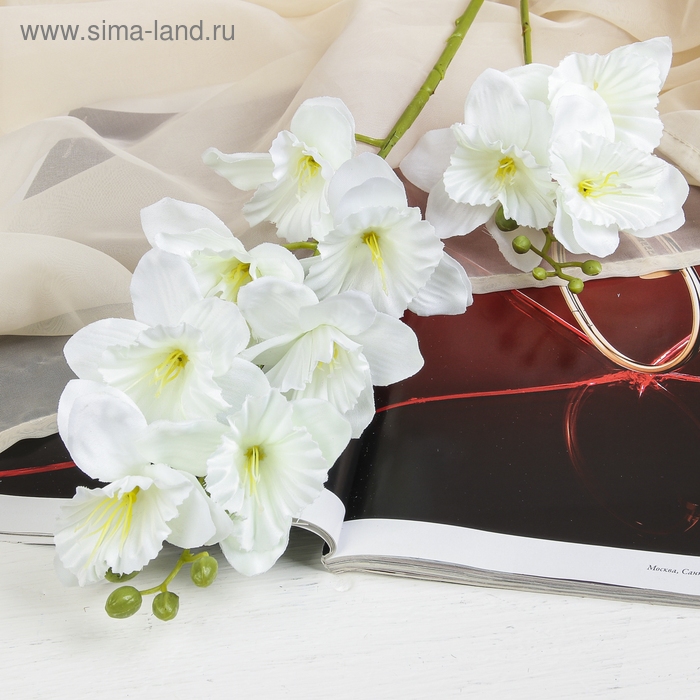 

Цветы искусственные Дельфиниум волнистый 7,5*82 см, белый
