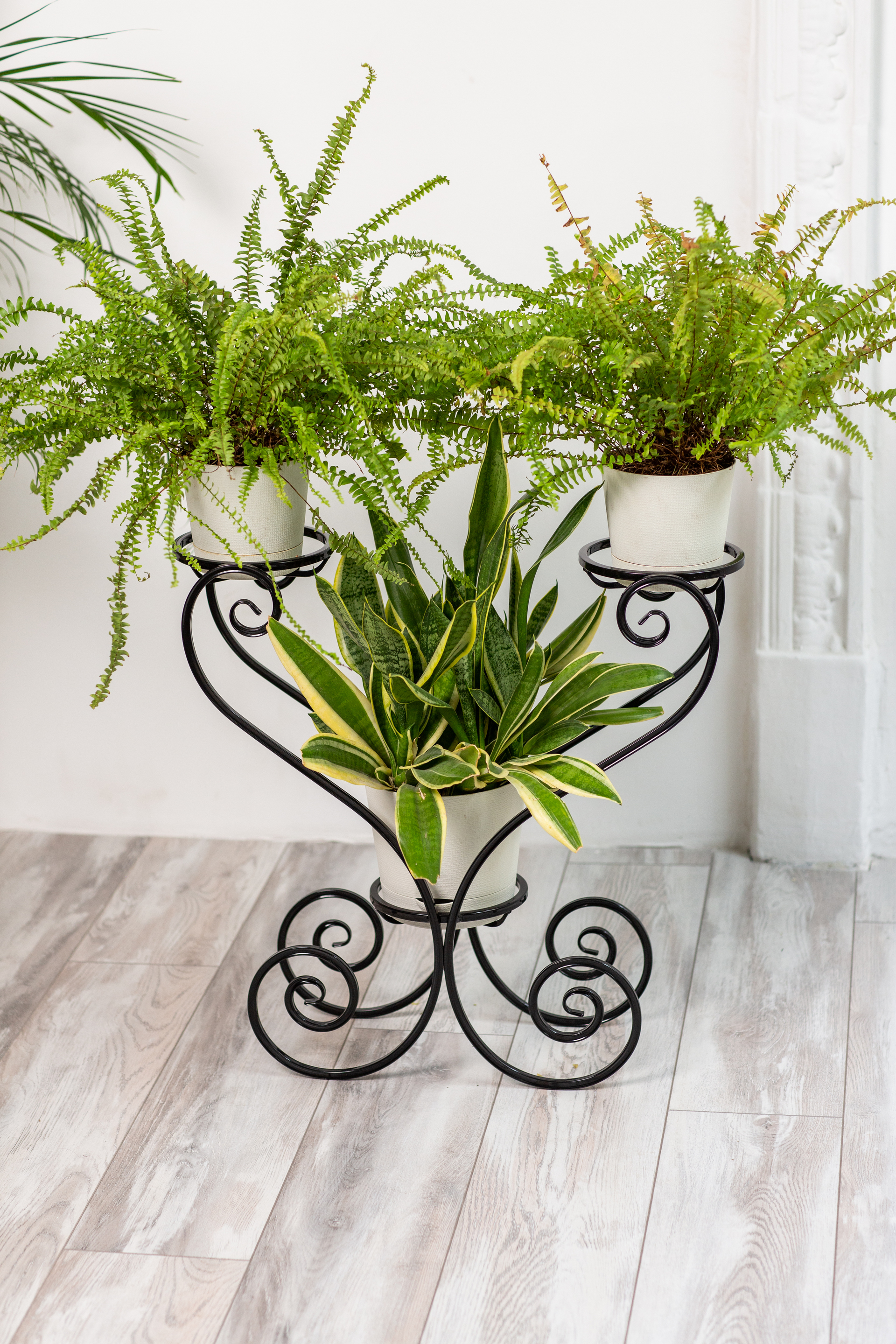 Подставка для растений