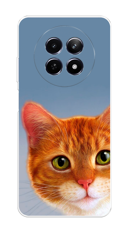

Чехол на Realme 12 5G "Любопытный котик", Коричневый, 2516450-1