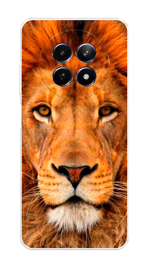 

Чехол на Realme 12 5G "Благородный лев", Оранжевый, 2516450-1