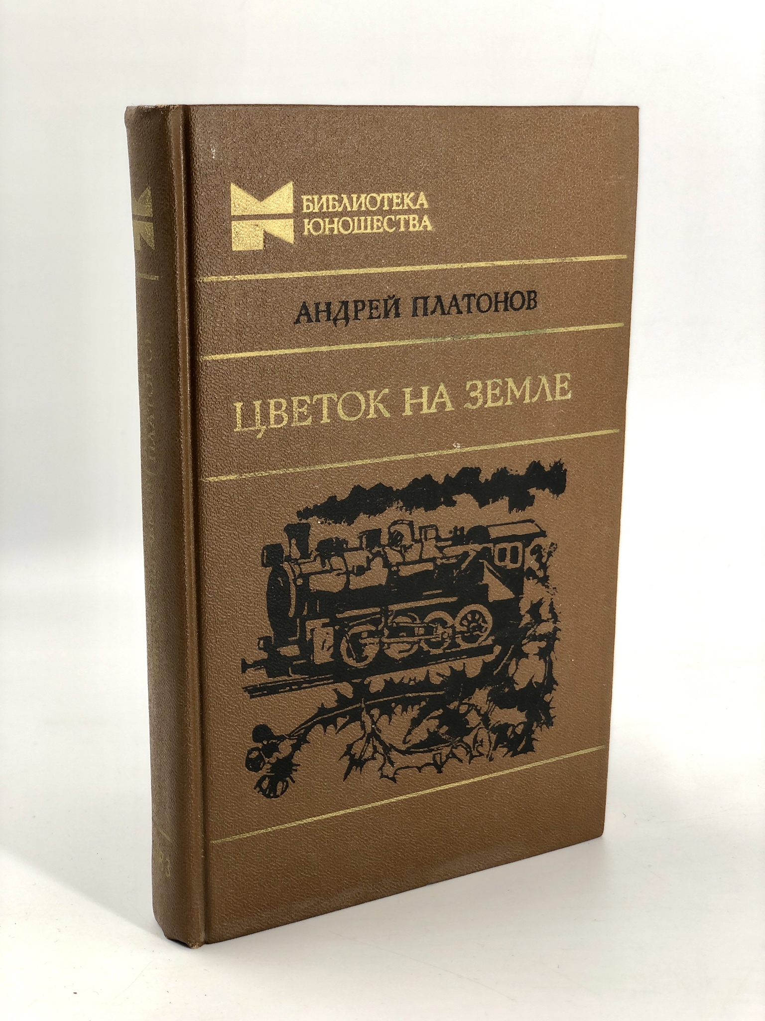 

Книга Андрей Платонов - Цветок на земле