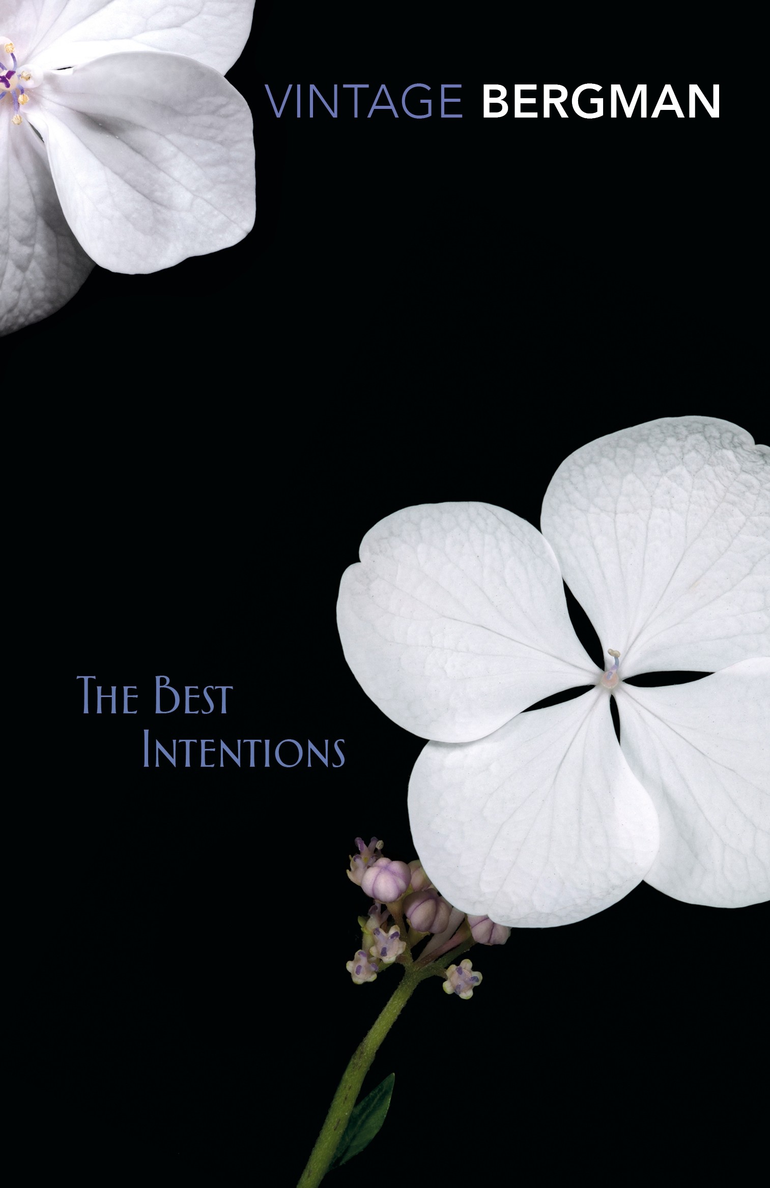 

The Best Intentions