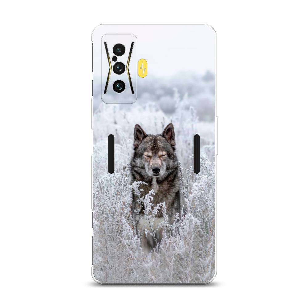 

Чехол Awog на Xiaomi Redmi K50 GE/F4 GT "Волк в поле", Разноцветный, 314950-1