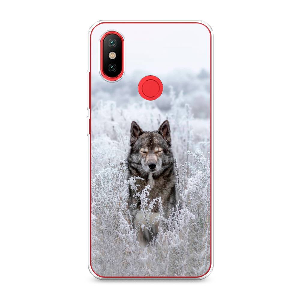 

Чехол Awog на Xiaomi Mi 6X/A2 "Волк в поле", Разноцветный, 33350-1