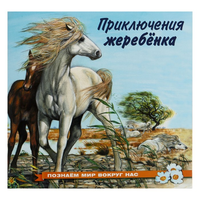 

Приключения жеребенка, Познаем мир вокруг нас