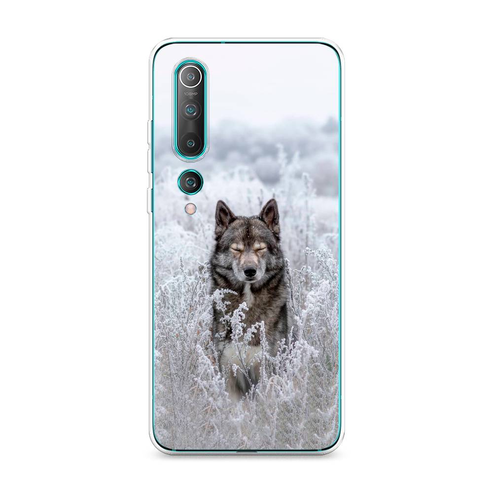 

Чехол Awog на Xiaomi Mi 10 Pro "Волк в поле", Разноцветный, 37850-1
