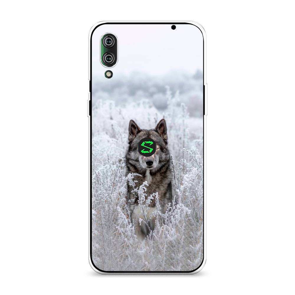 

Чехол Awog на Xiaomi Black Shark 2/2 Pro "Волк в поле", Разноцветный, 36450-1