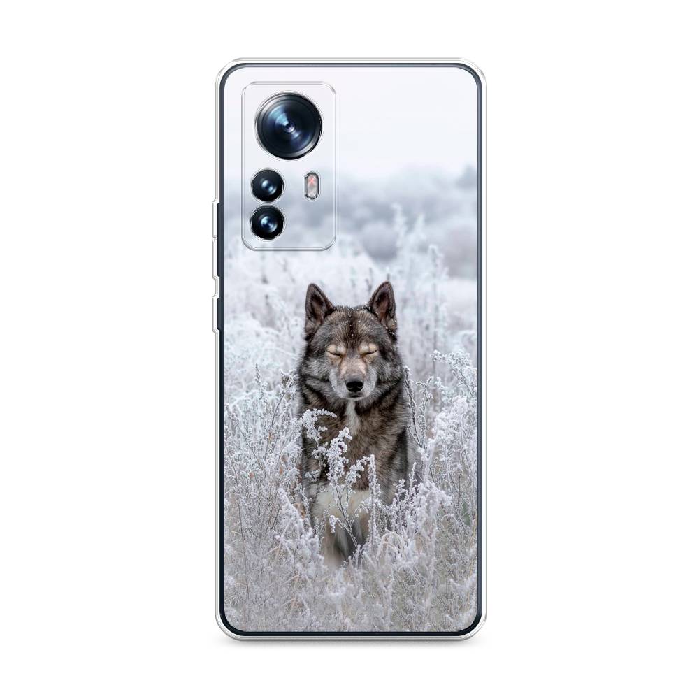 

Чехол Awog на Xiaomi 12 "Волк в поле", Разноцветный, 312350-1