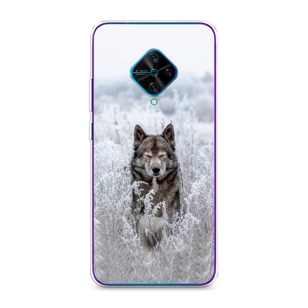 

Чехол Awog на Vivo Y9s "Волк в поле", Разноцветный, 262450-1