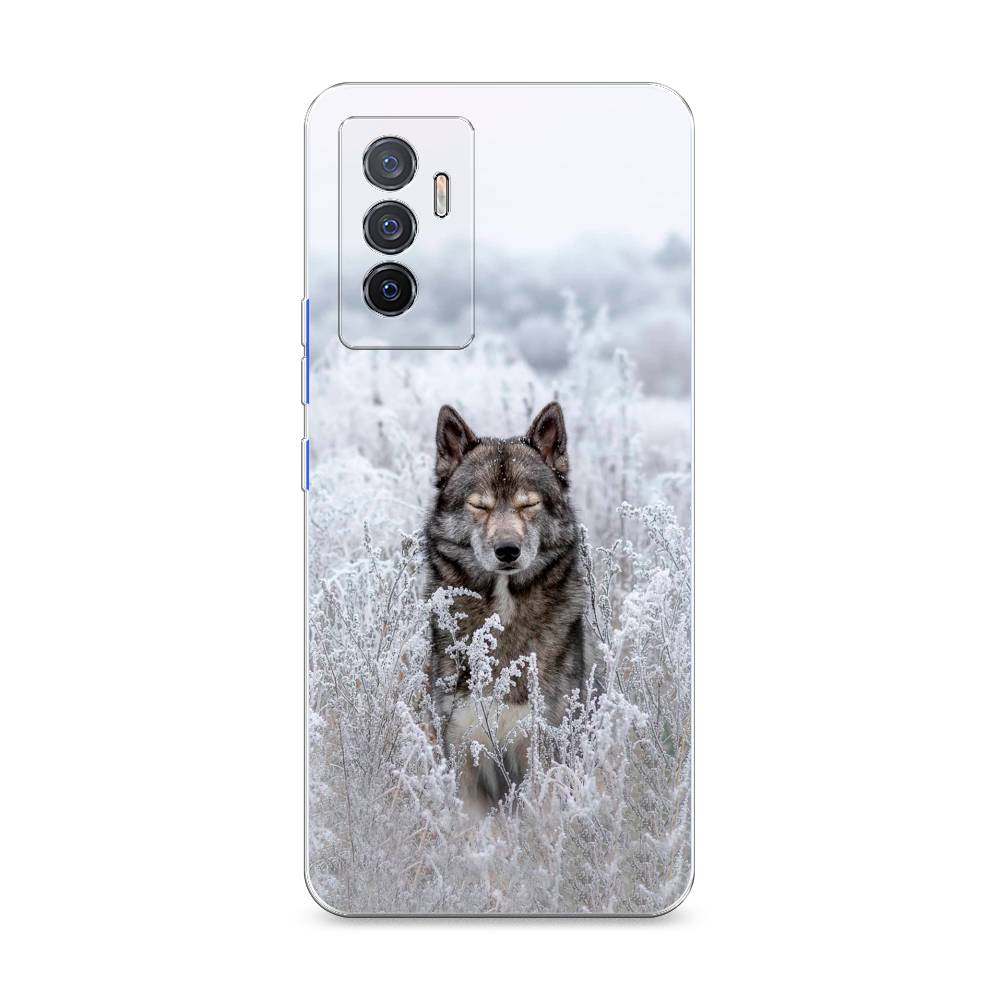 

Чехол Awog на Vivo V23e/Y75 4G "Волк в поле", Разноцветный, 267050-1