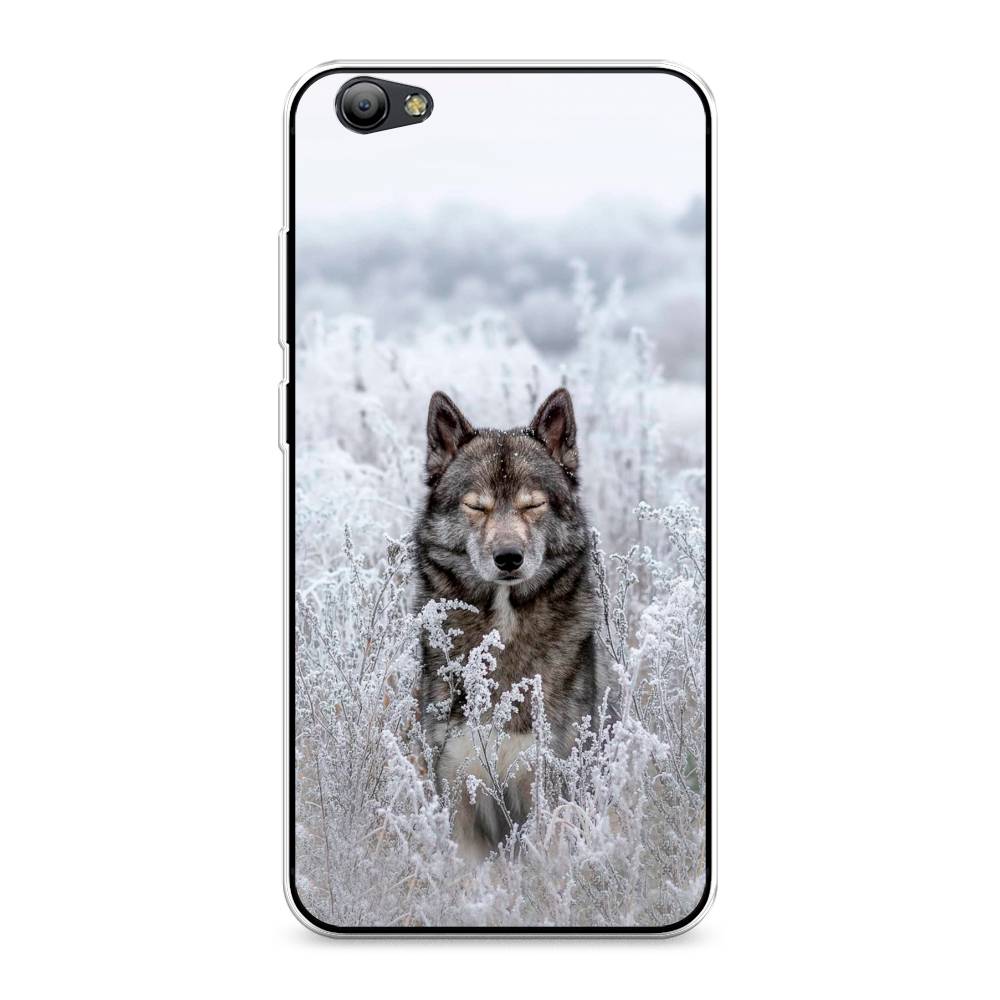 

Чехол Awog на Vivo Y65/Y66 "Волк в поле", Разноцветный, 260550-1