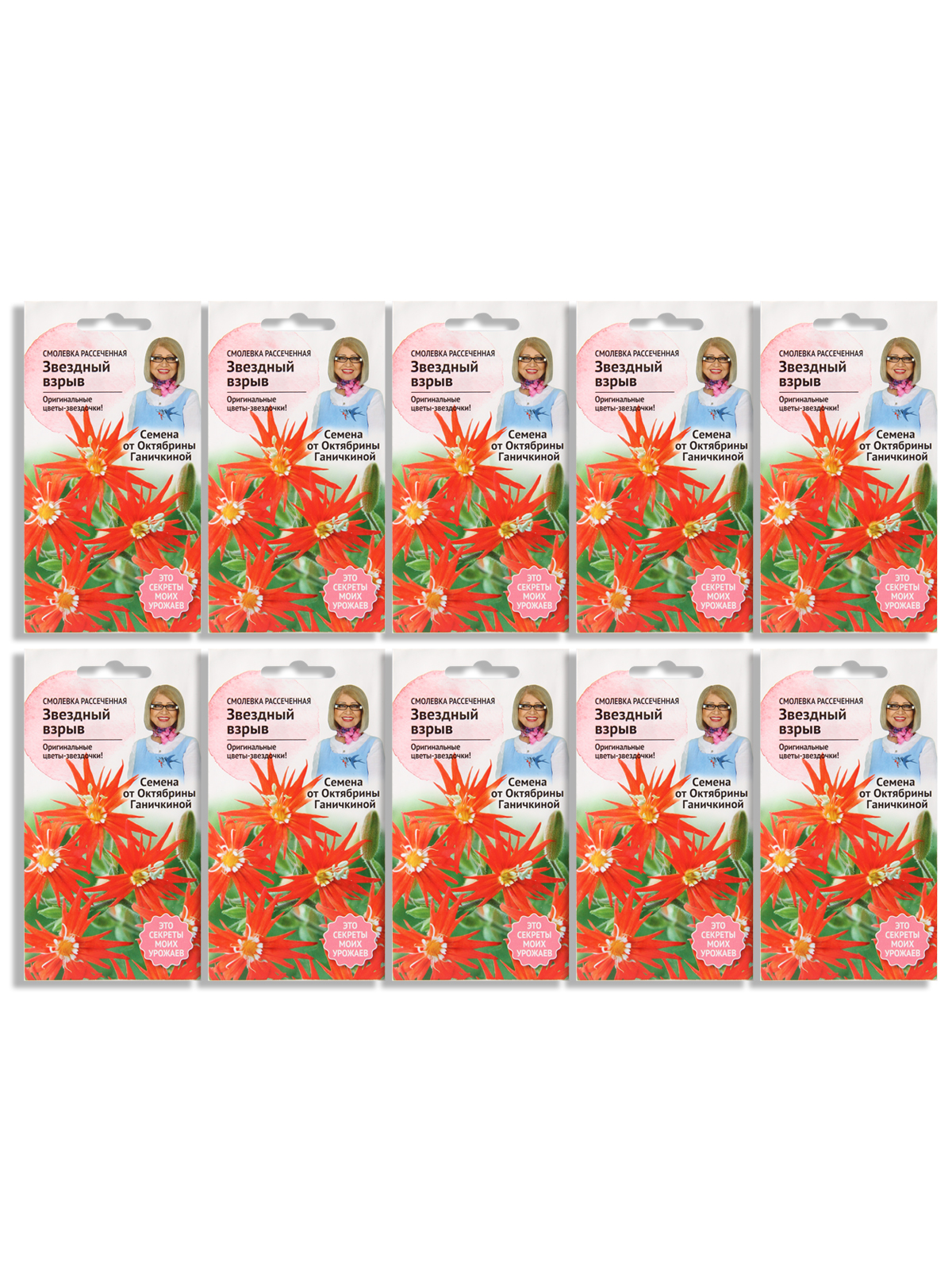 

Семена набор смолевка АгроСидсТрейд Звездный взрыв N04832-AGS/N03400-10 10 уп., Звездный взрыв