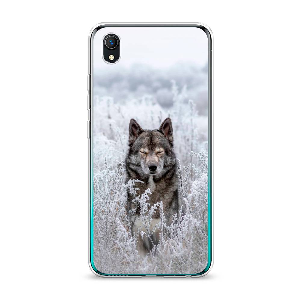 

Чехол Awog на Vivo Y91c/Y1s "Волк в поле", Разноцветный, 263250-1