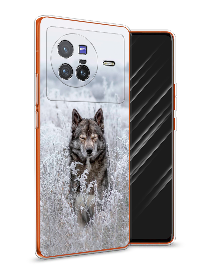 

Чехол Awog на Vivo X80 "Волк в поле", Разноцветный, 266550-1