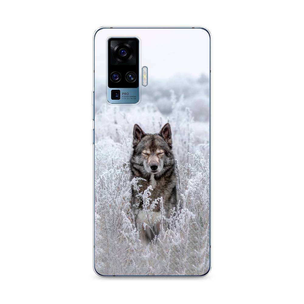 

Чехол Awog на Vivo X50 Pro "Волк в поле", Разноцветный, 262350-1