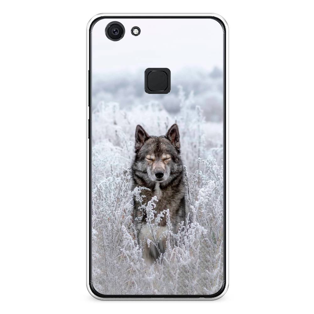 

Чехол Awog на Vivo V7 "Волк в поле", Разноцветный, 260450-1