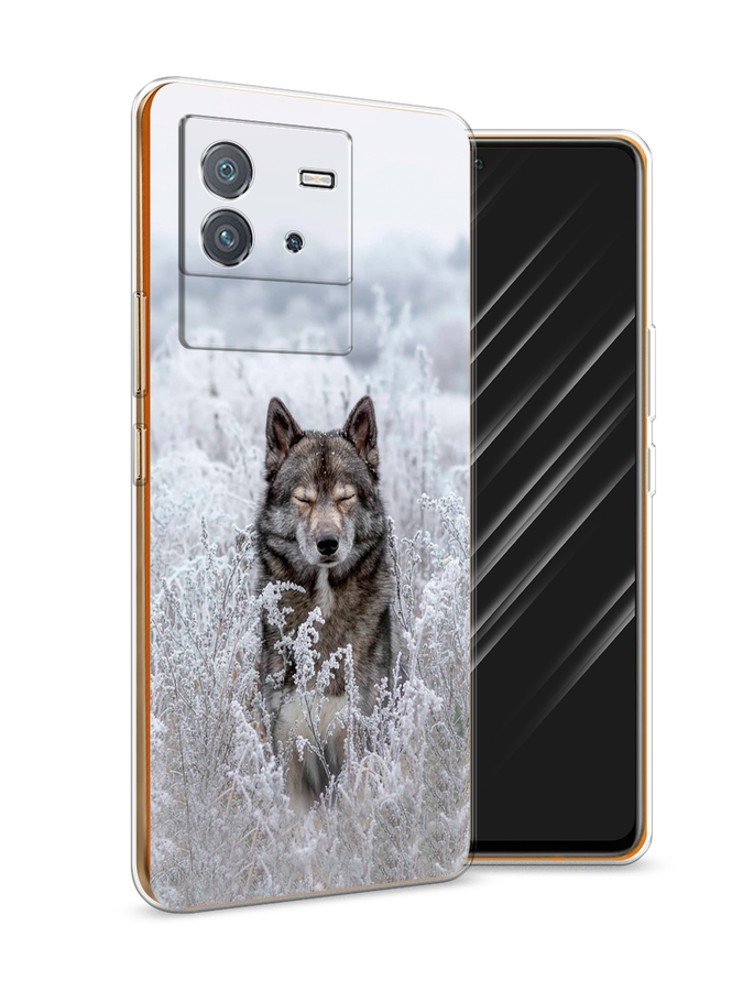 

Чехол Awog на Vivo iQOO Neo6 "Волк в поле", Разноцветный, 266850-1
