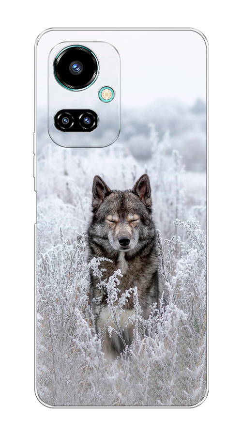 

Чехол Awog на Tecno Camon 19/19 Pro 4G "Волк в поле", Разноцветный, 302250-1