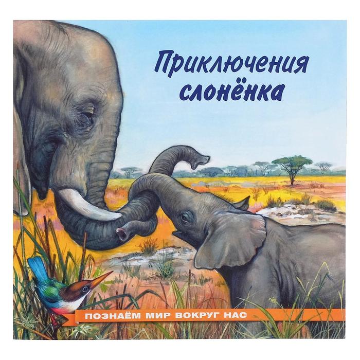 

Познаём мир вокруг нас Приключения слонёнка, Познаем мир вокруг нас