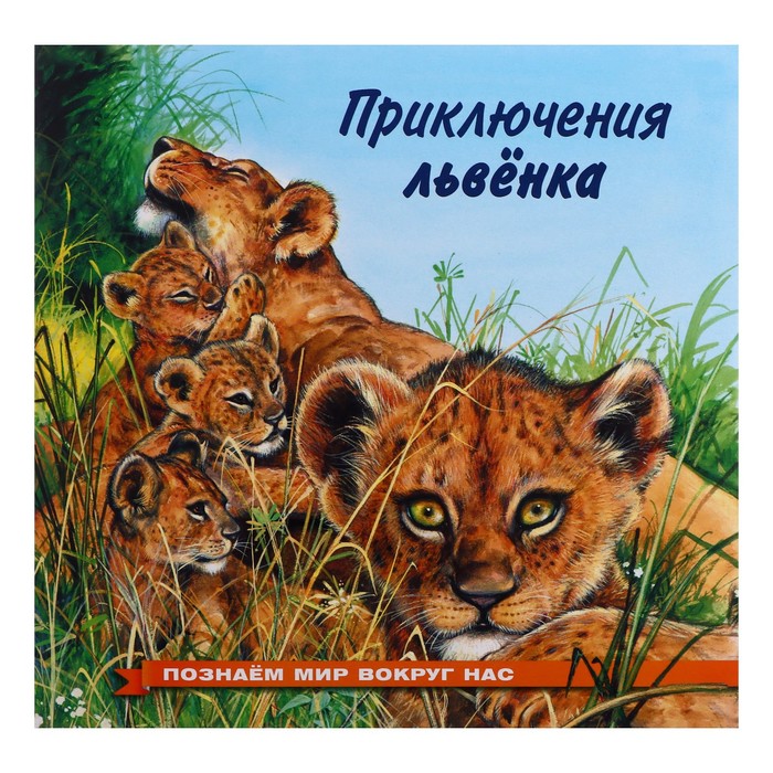 

Приключения львенка, Познаем мир вокруг нас