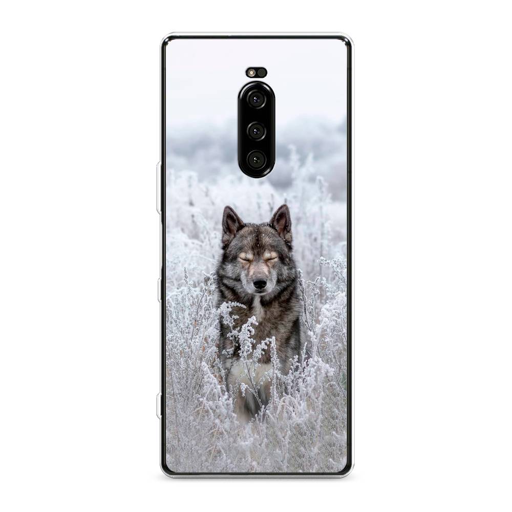 

Чехол Awog на Sony Xperia XZ4/Xperia 1 "Волк в поле", Разноцветный, 53850-1