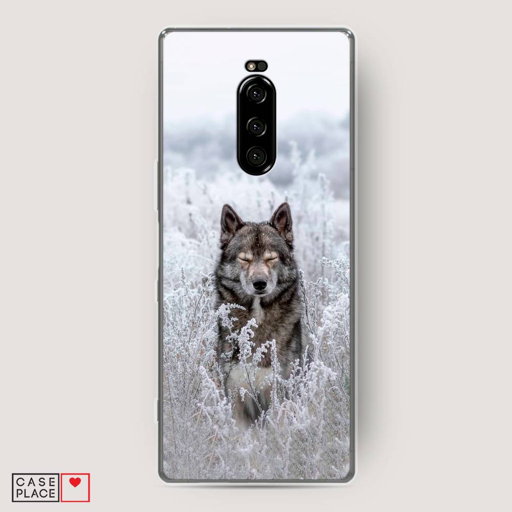 

Чехол Awog на Sony Xperia 1/XZ4 "Волк в поле", Разноцветный, 54250-1