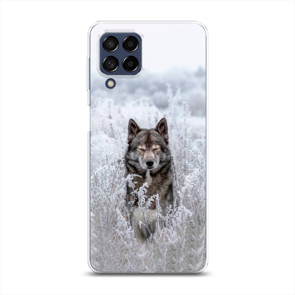 

Чехол Awog на Samsung Galaxy M53 / Самсунг M53 "Волк в поле", Разноцветный, 2105850-1