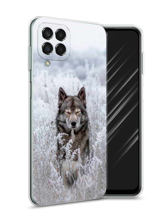 

Чехол Awog на Samsung Galaxy M33 / Самсунг M33 "Волк в поле", Разноцветный, 2105650-1
