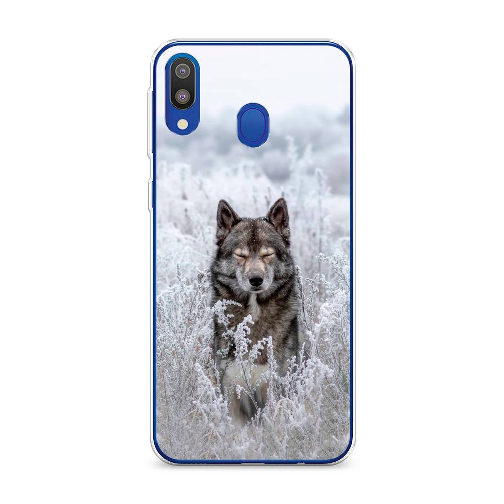 

Чехол Awog на Samsung Galaxy M20 "Волк в поле", Разноцветный, 27450-1