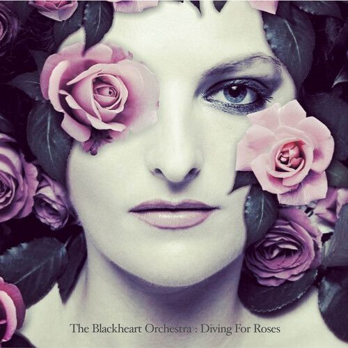 Blackheart Orchestra Diving For Roses Magenta Vinyl (LP)