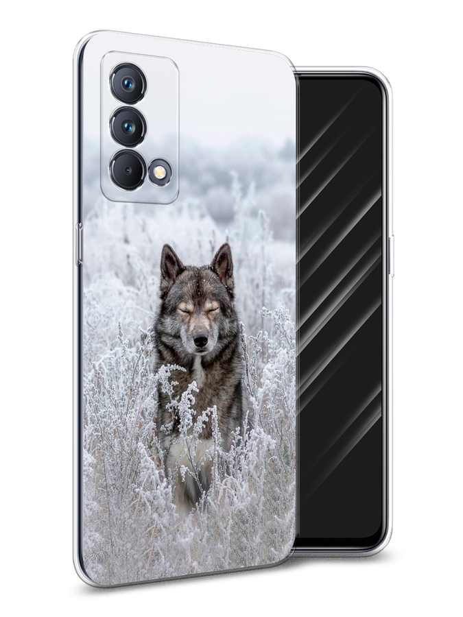 

Чехол Awog на Realme GT Master Edition "Волк в поле", Разноцветный, 2510450-1