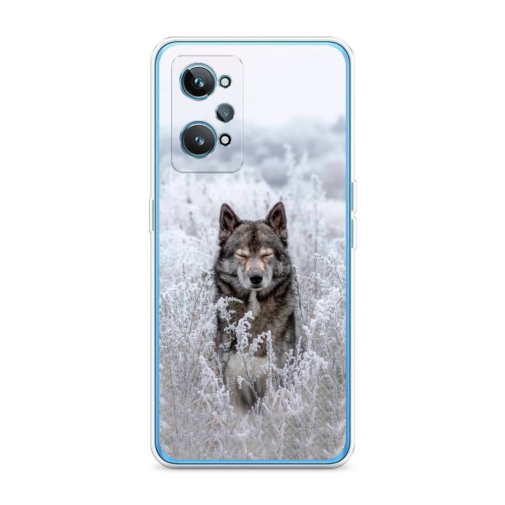 Чехол Awog на Realme GT 2 
