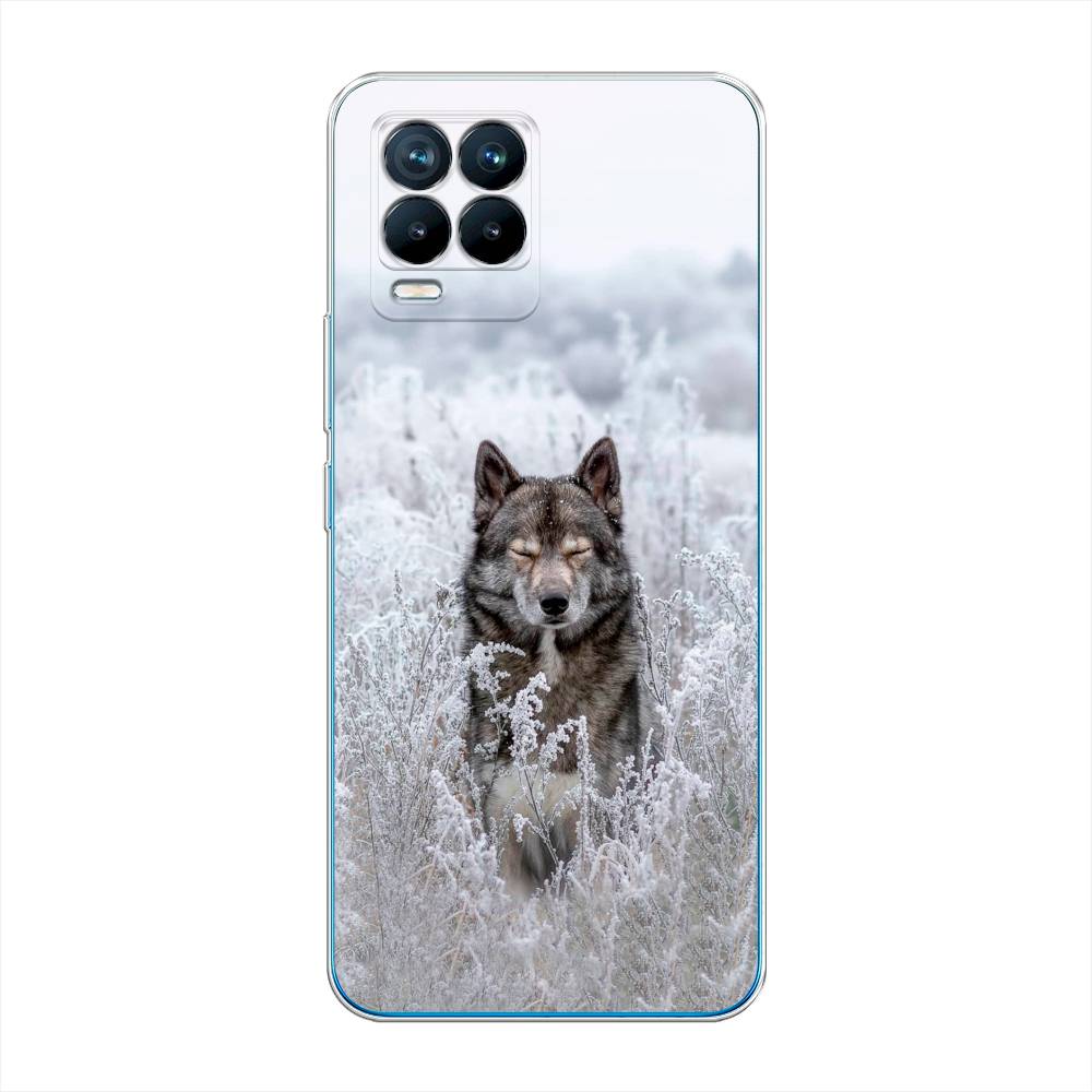 

Чехол Awog на Realme 8/8 Pro "Волк в поле", Разноцветный, 255550-1
