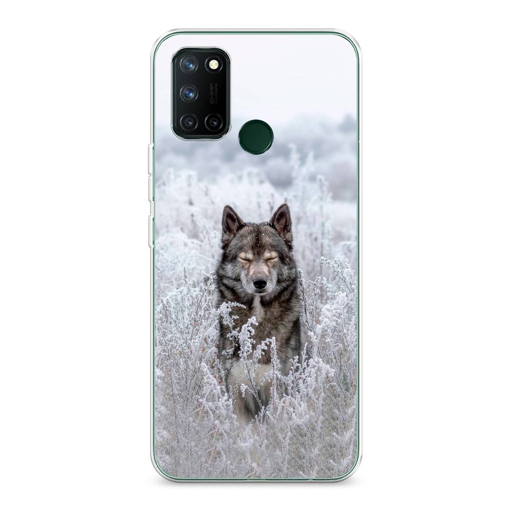

Чехол Awog на Realme 7i "Волк в поле", Разноцветный, 253950-1