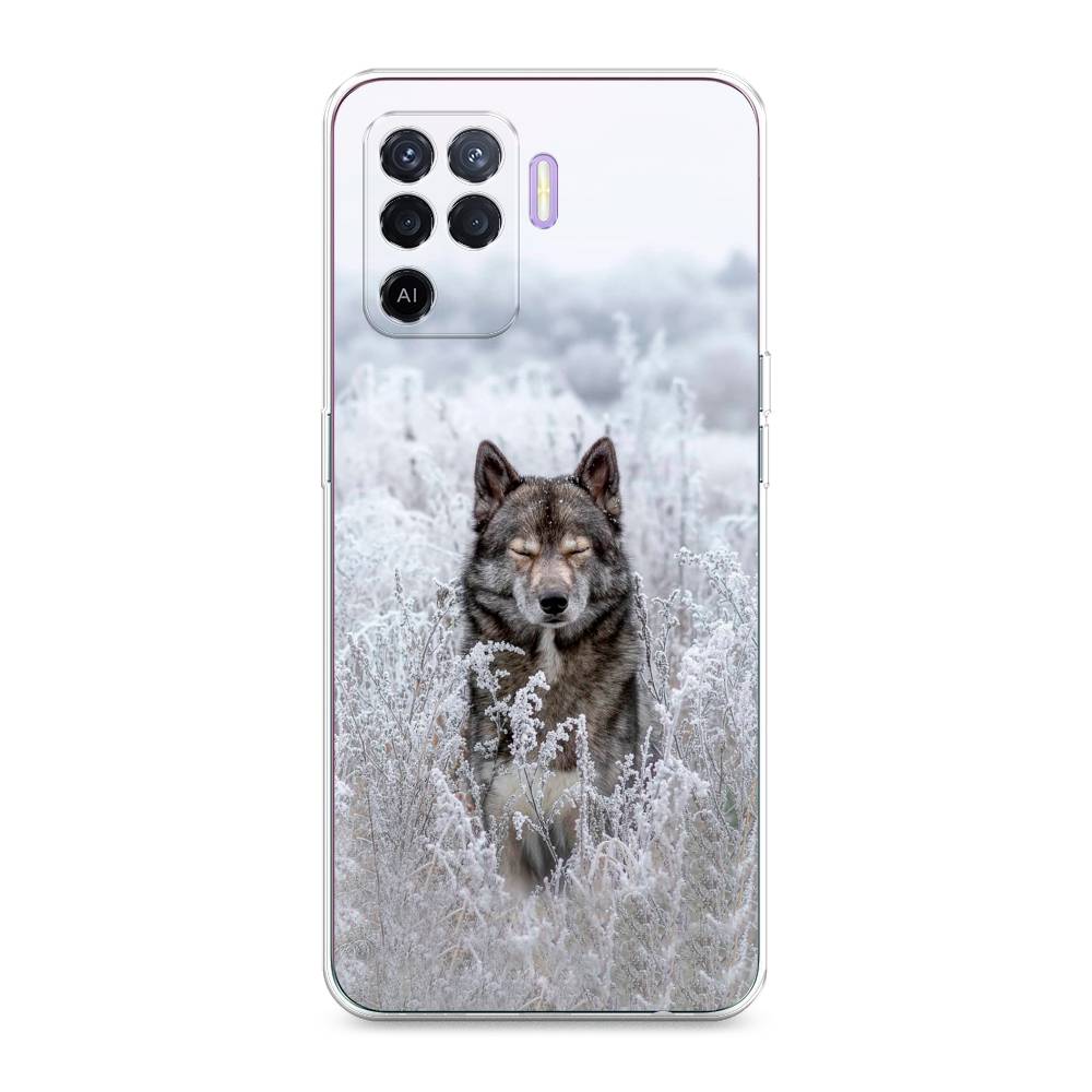 

Чехол Awog на Oppo Reno 5 Lite "Волк в поле", Разноцветный, 255150-1