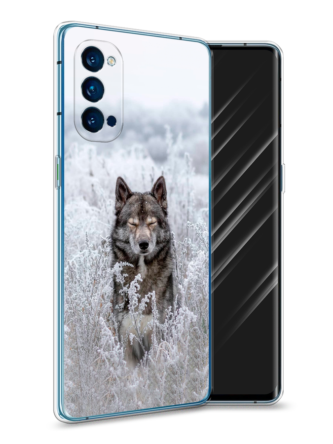 

Чехол Awog на Oppo Reno 4 Pro 5G "Волк в поле", Разноцветный, 253750-1