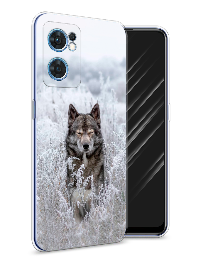 

Чехол Awog на Oppo Find X5 Lite "Волк в поле", Разноцветный, 259850-1