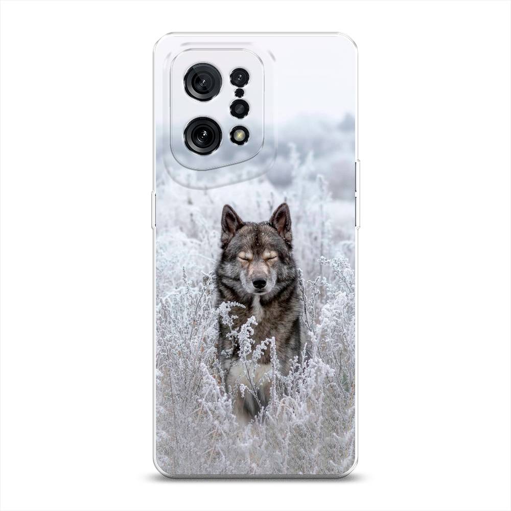 

Чехол Awog на Oppo Find X5 "Волк в поле", Разноцветный, 259750-1