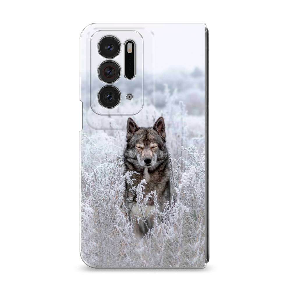 

Чехол Awog на Oppo Find N "Волк в поле", Разноцветный, 259650-1