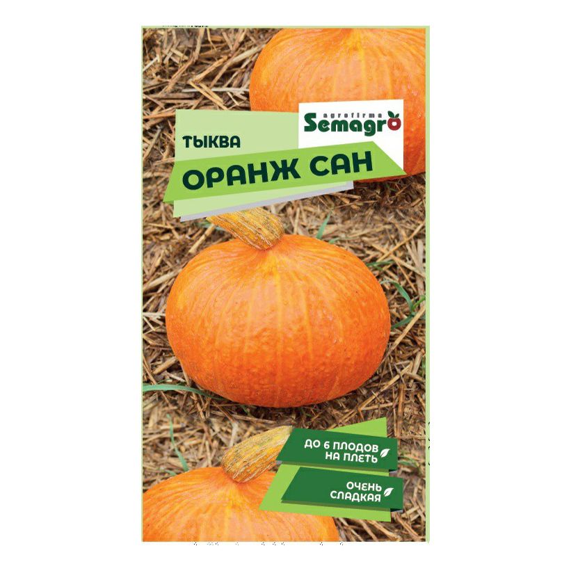 Семена тыква Оранж сан Semagro PN-83470 1 уп.