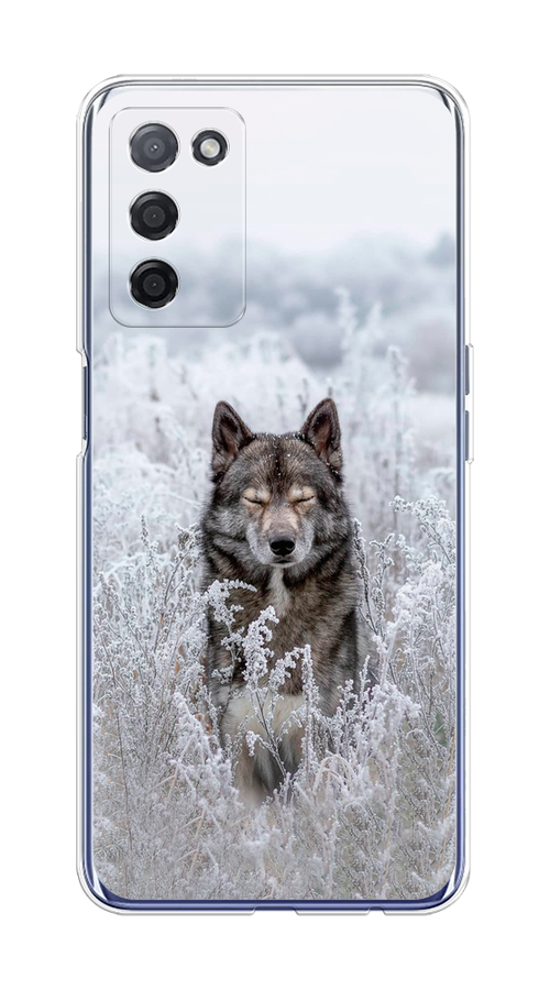 

Чехол Awog на Oppo A55 5G "Волк в поле", Разноцветный, 256250-1